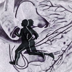 You Should Run