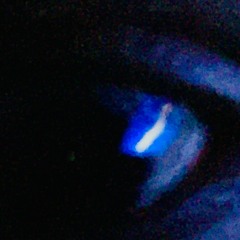 Jan and Noah - Ransom