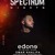 Artwork for Zarautz , Spain 2019- Live@ spectrum-nights