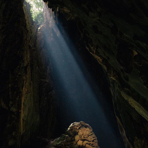 The Cave
