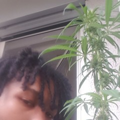 🧪💦dreiipin' like wonton soup🥟🥣