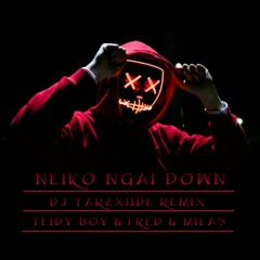 Teidy Boy Fred & African Boy Milas - Neiko Ngai Down ( DJ TarzXiide Remix )