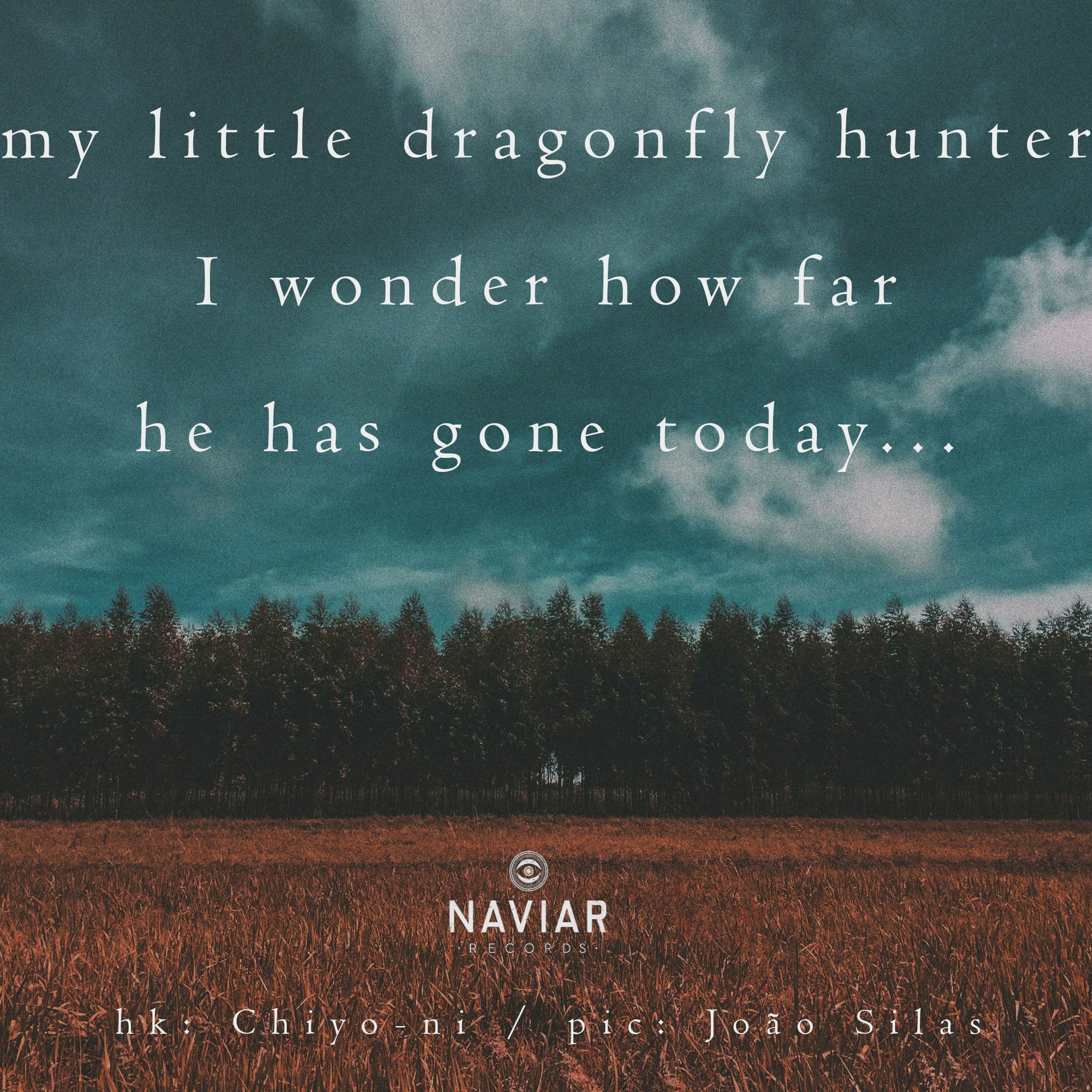_naviarhaiku291 episode artwork