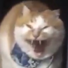 Am I doing this right?