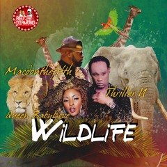 Wildlife - Red Diamond Entertainment