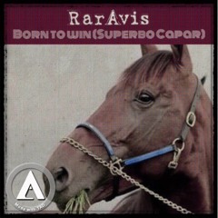 Born to win (Superbo Capar)