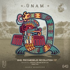 ÜNAM  - 2nd Psychedelic Revolution (Lemurian, Minoise & Sun Jun Remix)