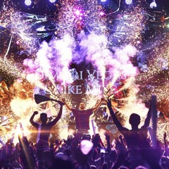 Dimitri Vegas & Like Mike & Afro Bros ft. Akon - She Knows