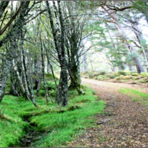 Stream episode SCP 001 Dr Mann's Proposal - The Spiral Path by Miss ...