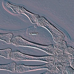 It Seemed Like A Good Idea At The Time