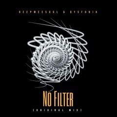 DeepMeeSoul & DysFoniK - No Filters (Original Mix)