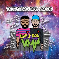 Leap Of Faith ( soyoulikegrass X TrisMollz )