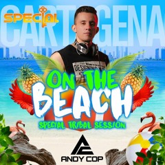 ON THE BEACH - SPECIAL TRIBAL SESSION (By Andy Cop)