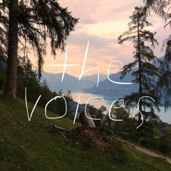 the voices (feat. harry asben)