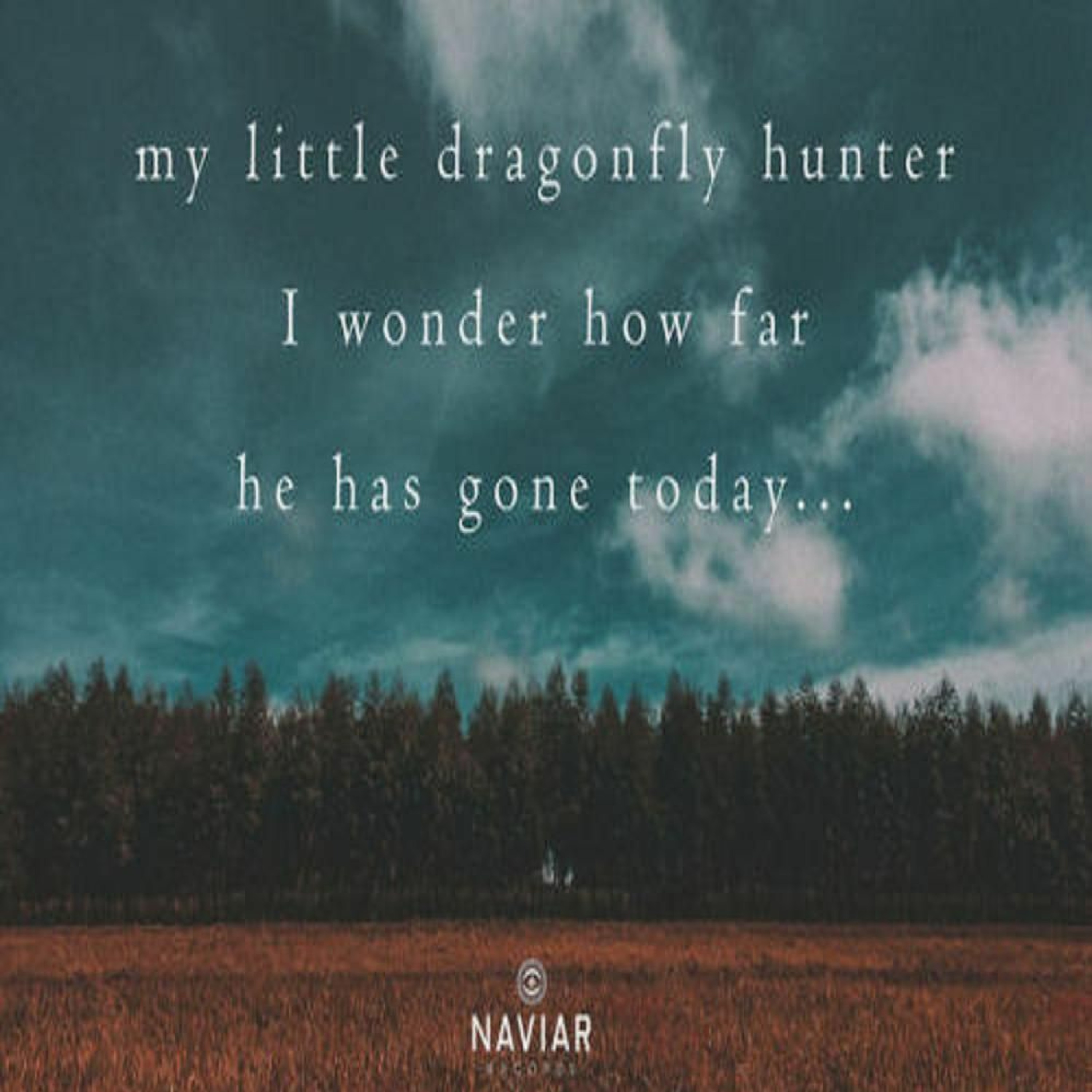 My Little Dragonfly Hunter (Naviarhaiku 291) episode artwork