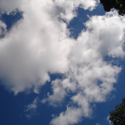 راشد الماجد عيد النظر By Mak On Soundcloud Hear The World S Sounds