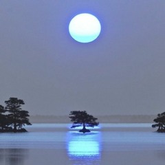 YUREI
