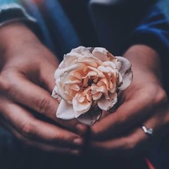 تنهيدة | كلمات وإلقاء : نبيل الغاوي