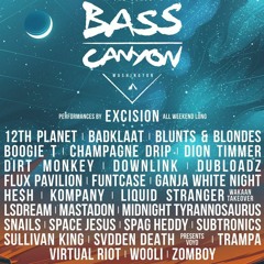 Bass Canyon Hype Mix