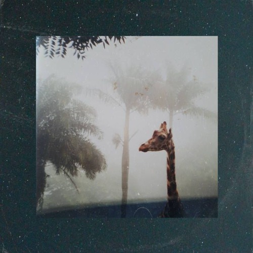 saiko - reflectns