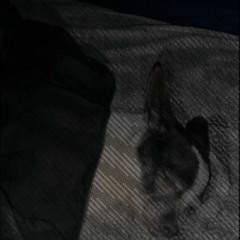 what're you gonna do, shoot me?