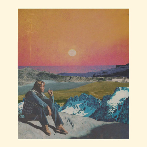 sleepdealer - shrooms