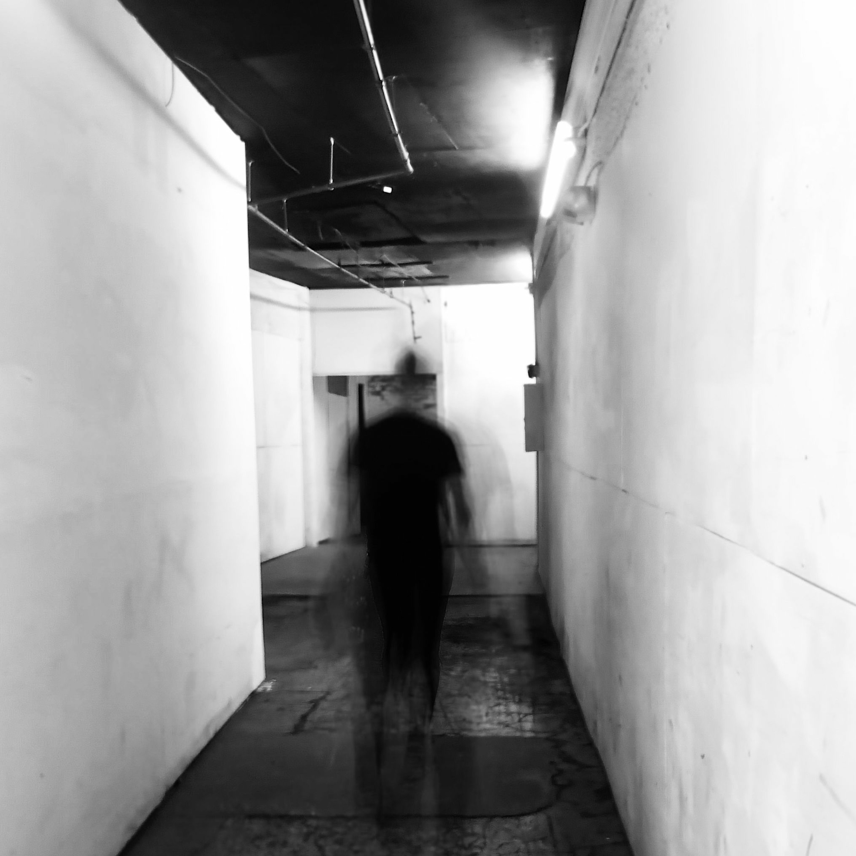 Lost between deep accent words - Ws Dc Set - 7-26/2019