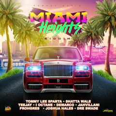 Shatta Wale - Miami Heights - Raw