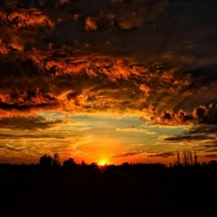 Felperc - Consciousness