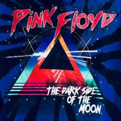 PINK FLOYD (WISH YOU WERE HERE) DEMO