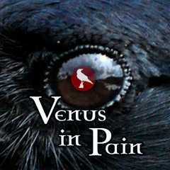 Sin Of A Crow - Venus In Pain