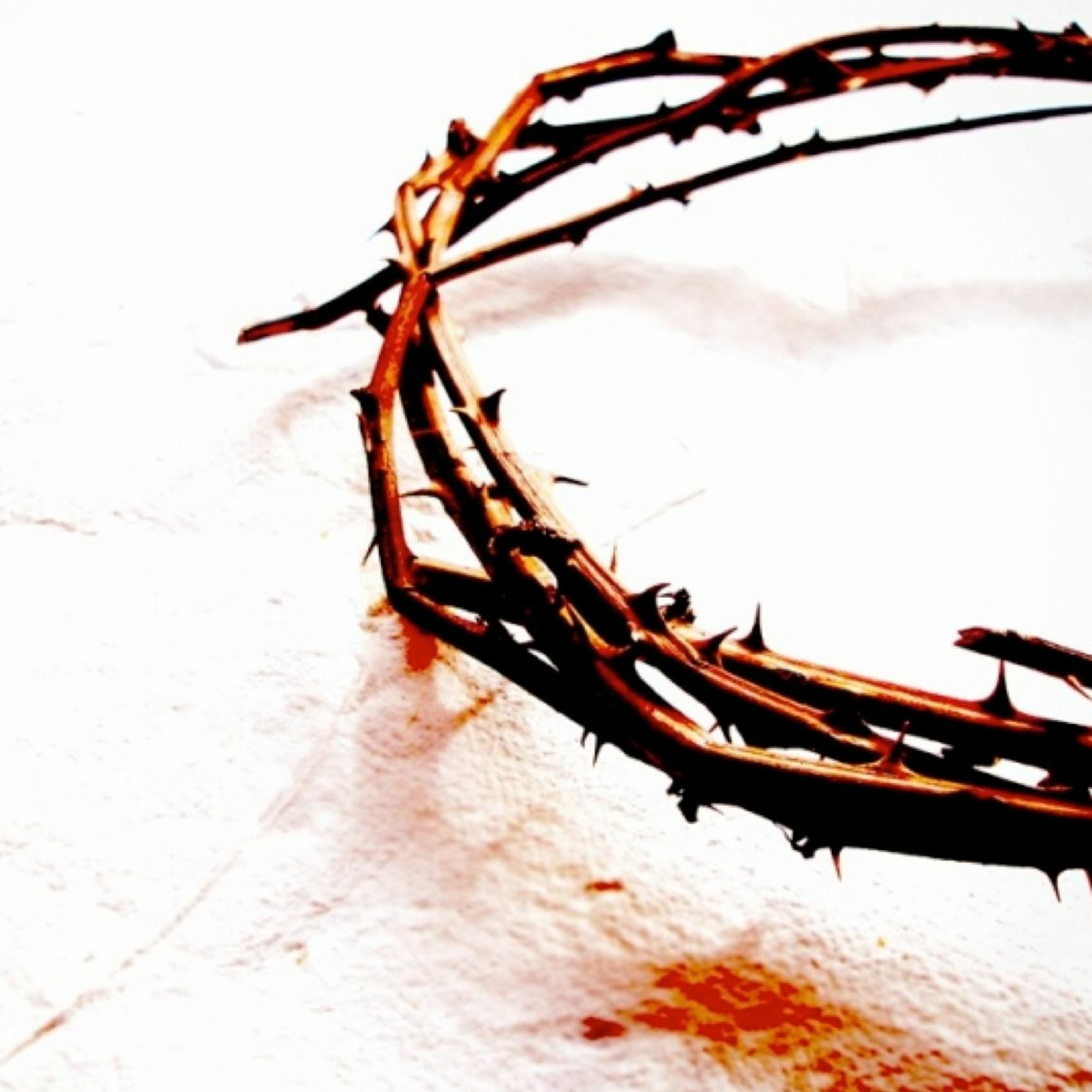La puissance surnaturelle du sang de Jésus episode artwork