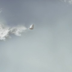 Pankaki - Sippin And Steppin (Ft. Dubsaduba and Win Lee)