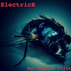 Not Regular Filth