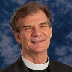 2019-08-04 Eighth Sunday after Pentecost (Father Steve)