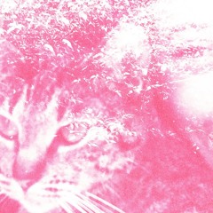 Does Your Heart Feel Like Mine?