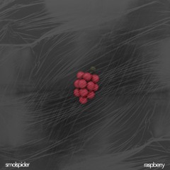 raspberry