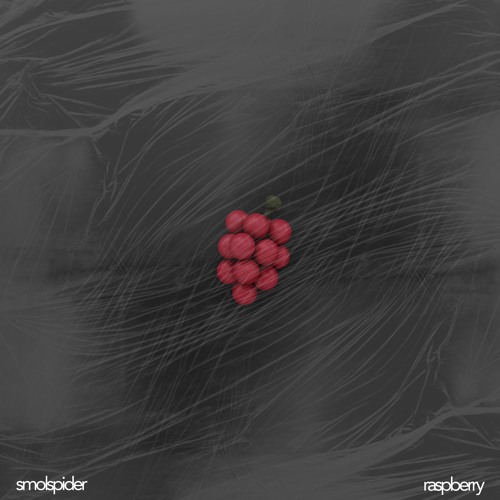 raspberry