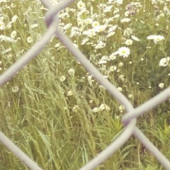 Midland Morning 16bit Demo