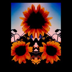 DesQx - jolly roger bay