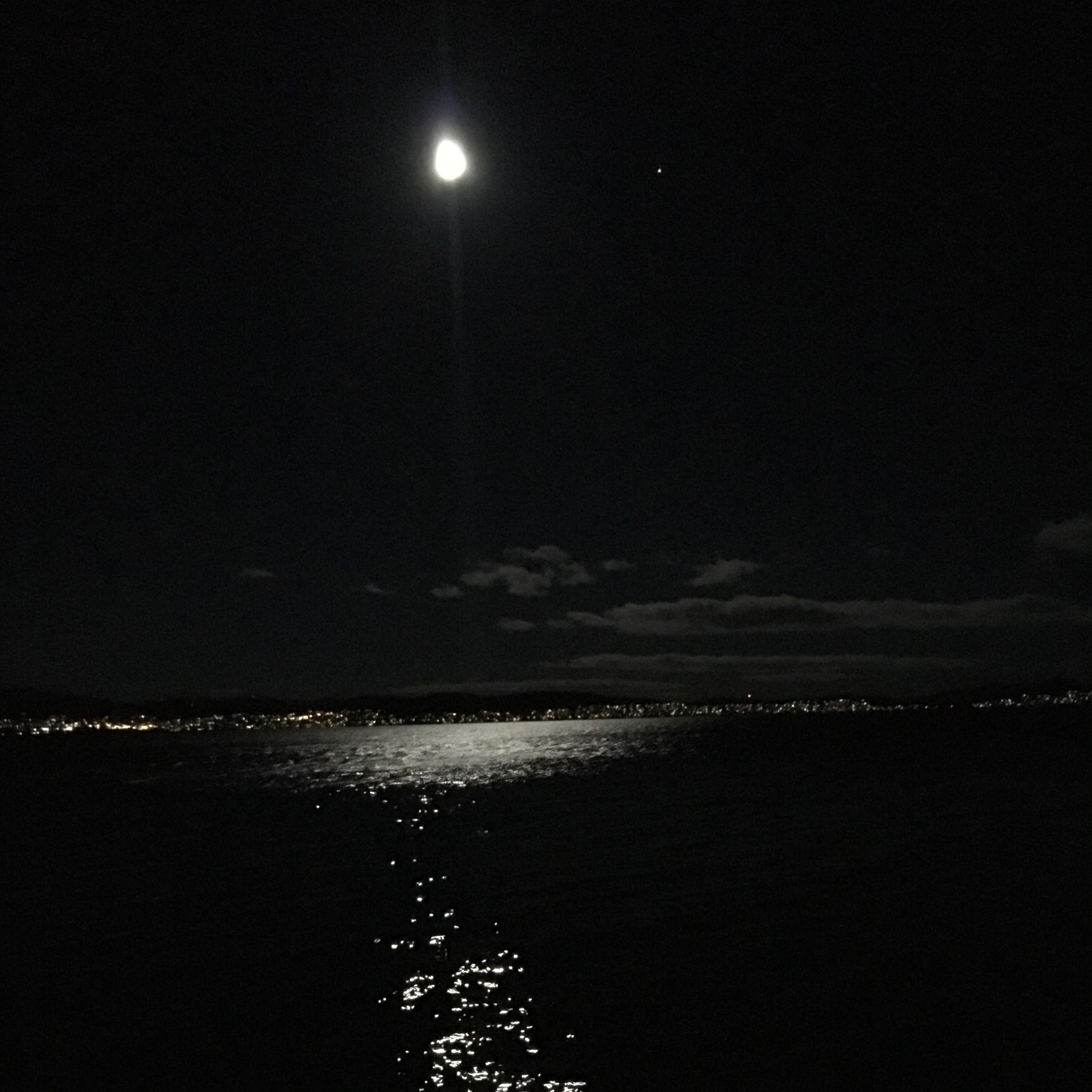 I Only See The Moon (25/40)