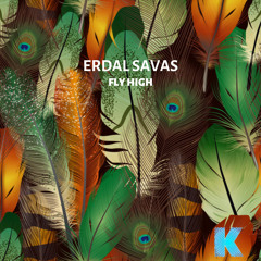 Erdal Savas - Porn / Karia Records