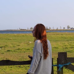 Mins du vad vi lovade??