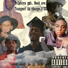 PoleboyDrose - All Facts
