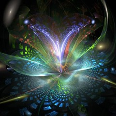 psykaholiks@raus_durch_musik