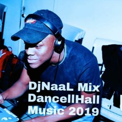 Dj Naal Mix DancellHall Music 2k19
