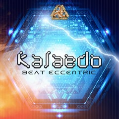 Kalaedo - Reflective Circuits
