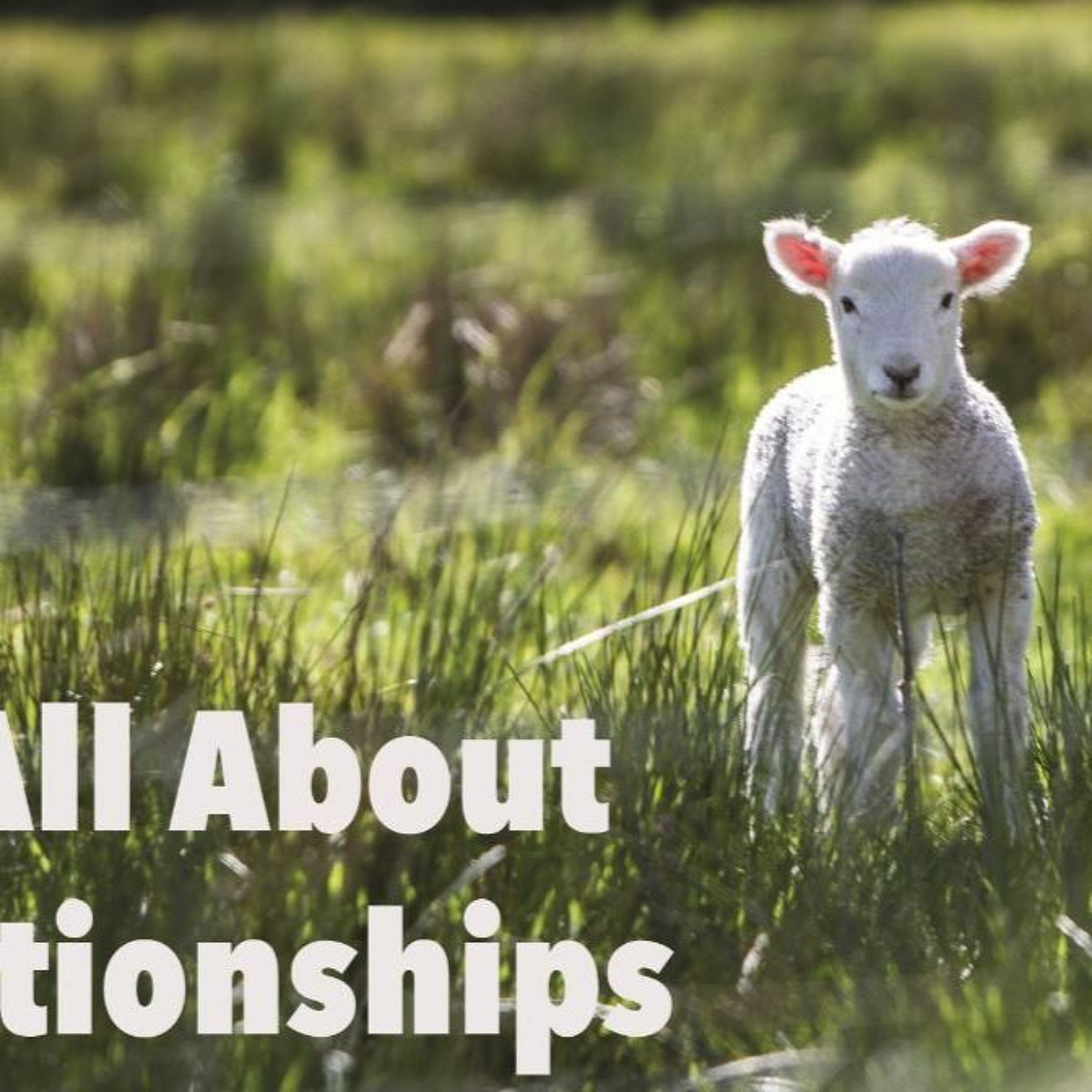Its all about Relationships episode artwork