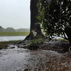 The Rayne (Purafication)