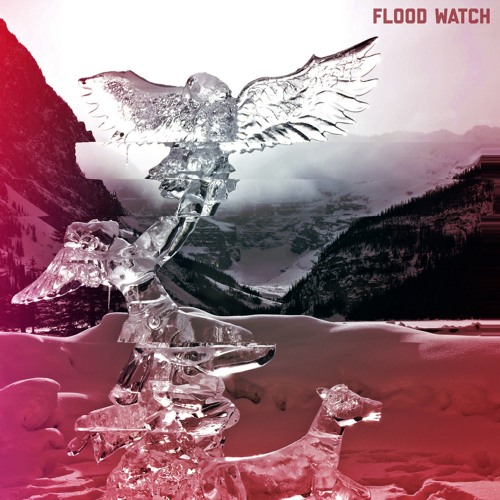 Flood Watch (read description)